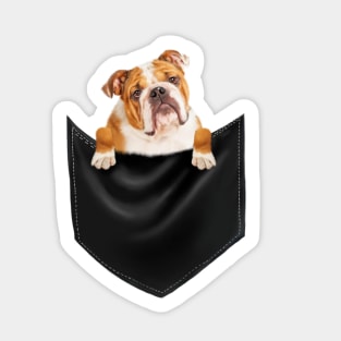 American Bulldog inside Pocket, Dog Lover Sticker